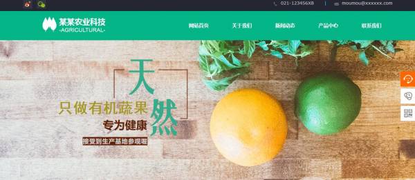 网站的名称和品牌会在一定程度上影响游客。但这不是一个决定性因素。因为网站的内容和服务也支持网站的名称和品牌影响力，并且内容需要页面携带，因此，网站管理员需要了解网站并不断优化通过分析不同类型的页面来提高网站性能的能力。