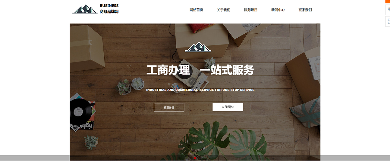 系统软件包括操作系统， Web服务器软件， 后端数据库， 等等。