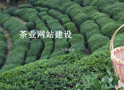 随着人们对健康生活的需求不断提升，以及互联网的迅猛发展，人们对茶叶的需求和质量的要求越发的高了，比如小罐茶的广告，一打开电视，几乎天天见，还有在各大电商平台，一些茶叶公司的销量让人眼馋，在眼馋别的同时，也不要光看着不做，互联网营销方式有很多，茶叶公司的网站是基础。