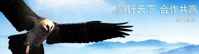 网站制作_公司网站是互联网上的企业营销和互联网上的图像推广的平台。相当于公司的网络名片，不仅是公司的形象， 这是一个很好的宣传。同时， 您可以协助公司的销售。直接帮助公司通过网络实现产品的销售情况。企业可以使用网站促进宣传， 产品信息发布， 招聘， 等等。