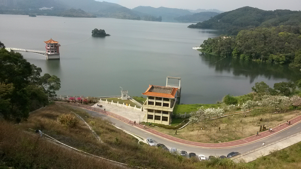 网络仙湖行
