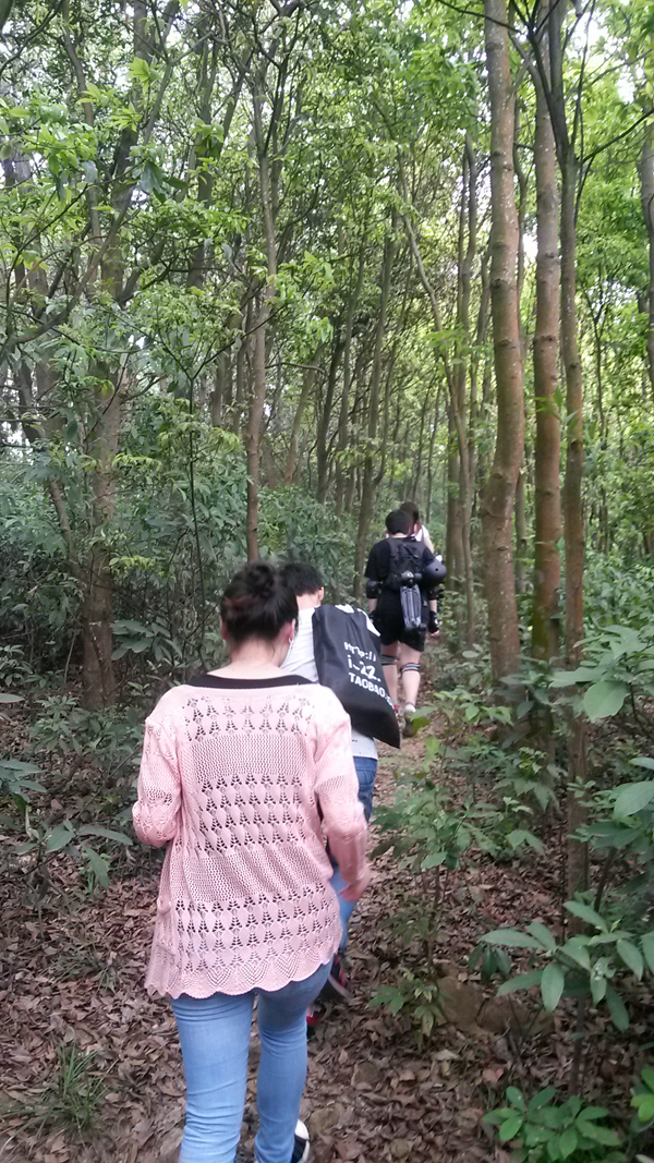 网络仙湖行